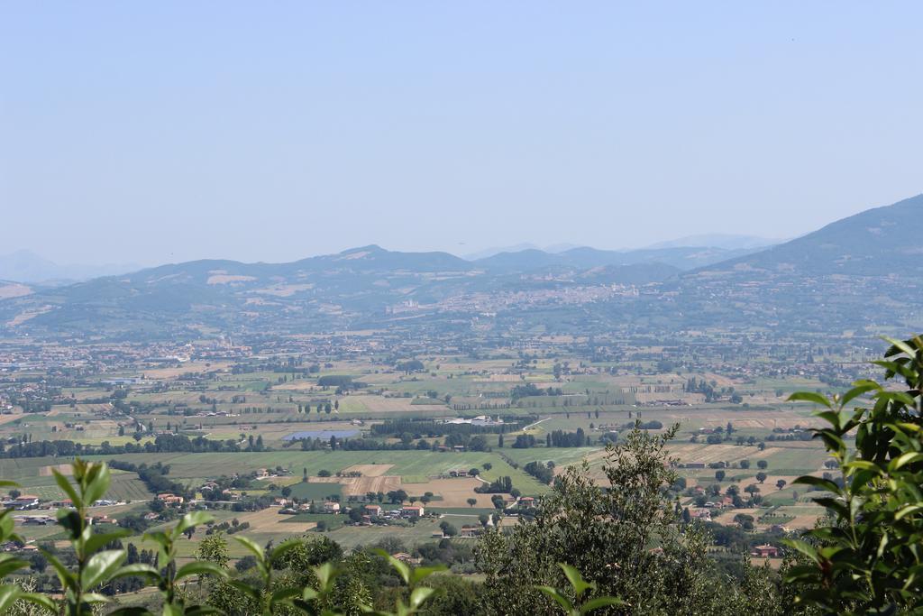 Villa Società Agricola F.lli Angelucci Cannara Esterno foto