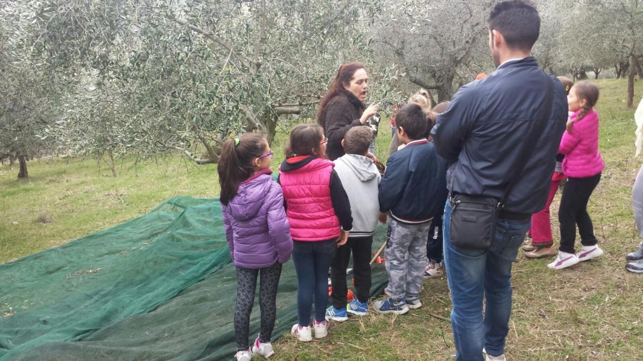 Villa Società Agricola F.lli Angelucci Cannara Esterno foto